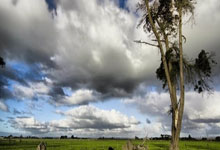 中国女足亚洲杯夺冠是哪一年？